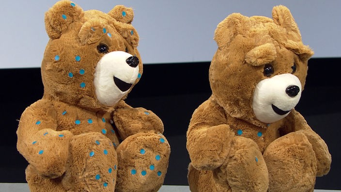 Zwei Teddybären mit unterschiedlich vielen Stickern.