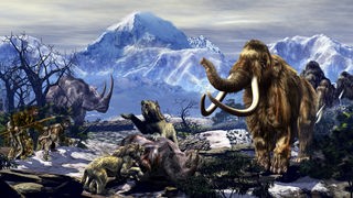 Zwei Neandertaler nähern sich einer Gruppe von Säbelzahntigern, die ein Wollnashorn-Kadaver fressen