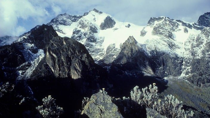 Der Gipfel des Peak Margherita im Ruwenzori-Gebirge.