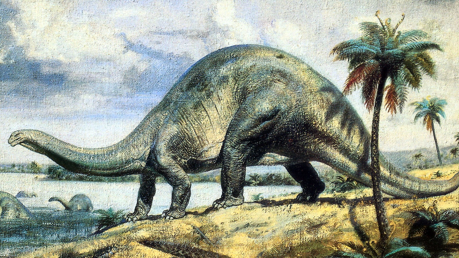 Dinosaurier: Dinosaurier in Deutschland  Urzeit 