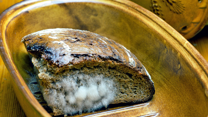 Schimmeliges Brot in einem Steintopf