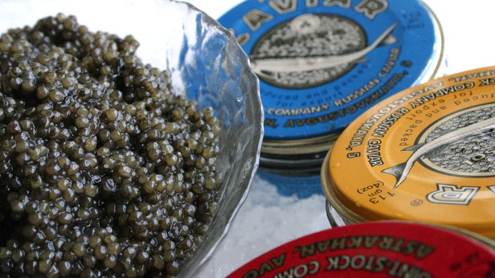 Dunkler Kaviar neben einer blauen, gelben und roten Dose