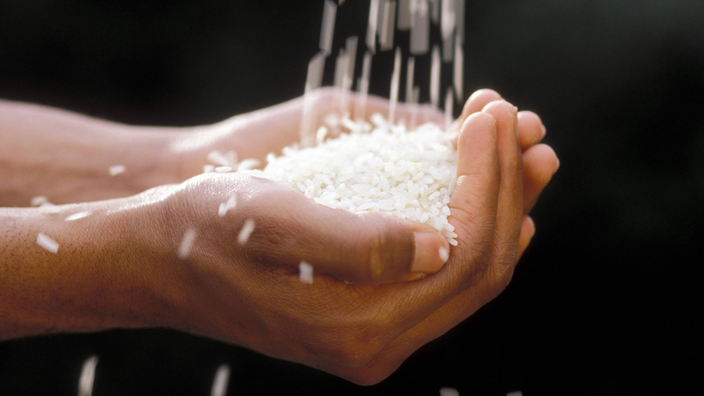 Reis wird in die Hände geschüttet.
