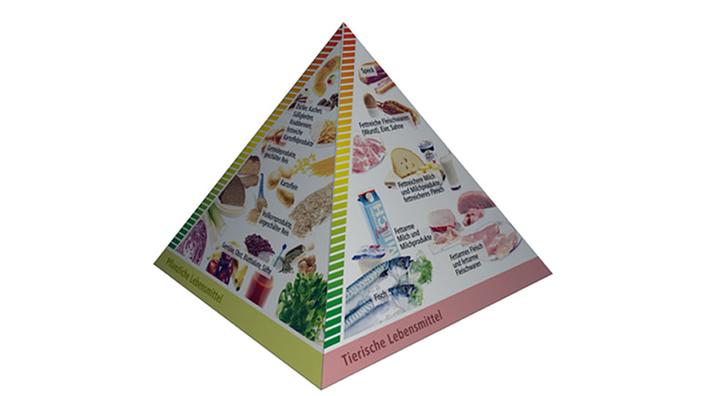 Lebensmittelpyramide: pflanzliche und tierische Lebensmittel.