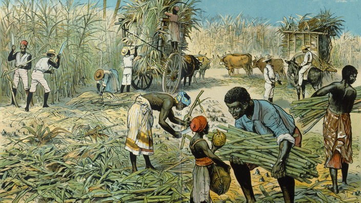 Zuckerrohrernte in Südamerika, Farblithographie um 1880.