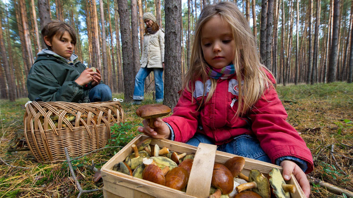Zwei Kinder auf der Suche nach Pilzen im Wald halten ihre vollen Körbe in die Kamera