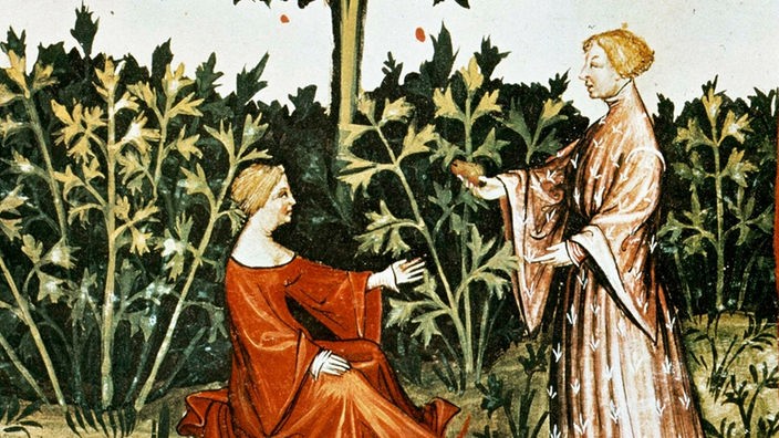 Mittelalterliche Zeichnung zweier Frauen in einem Garten aus dem sogenannten 'Hausbuch der Cerruti', der lateinischen Fassung einer arabischen Gesundheitslehre