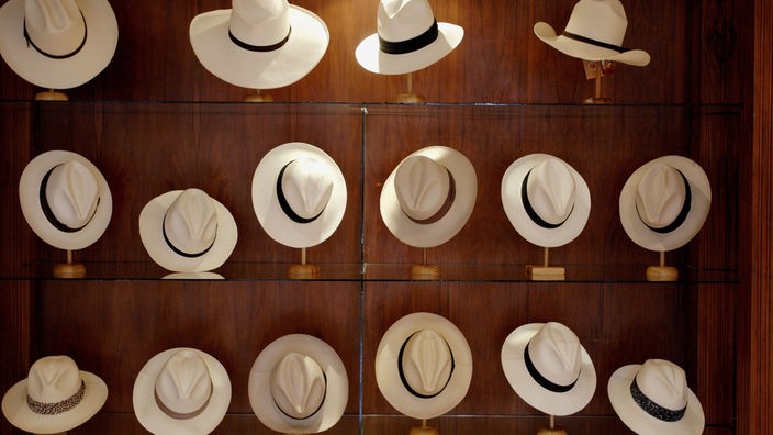 Das Bild zeigt viele Panamahüte - Herrenhüte aus besonderen Palmenblättern - auf Ständern in einem Schaufenster.