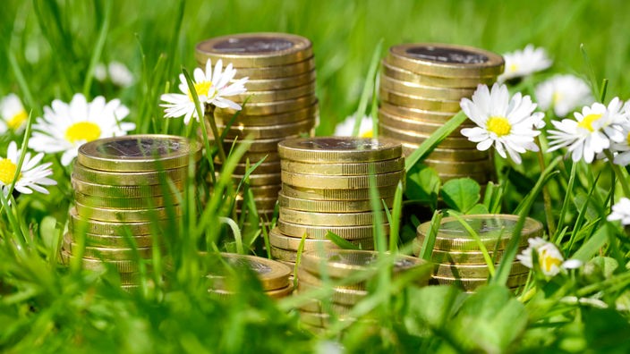 Auf einer Wiese liegen inmitten von Gänseblümchen Stapel von Ein-Euro-Münzen