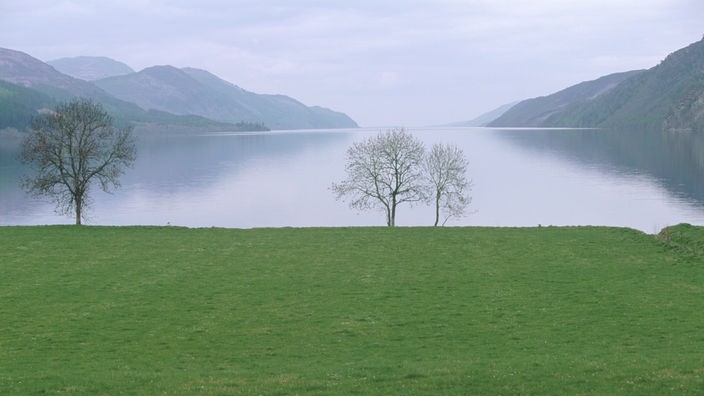 Blick von einer Wiese auf einen See. Am Ufer stehen vereinzelt Bäume, der See ist rachts und links von grünen Hügeln eingerahmt.