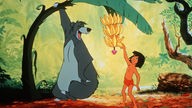 Zeichentrickfilm: Bär Balu zieht eine Bananenpalme herunter, damit Mogli sich eine Banane pflücken kann