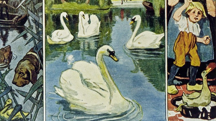 Bunte Illustration, die aus mehreren Bildern besteht. Im unteren Bild ist eine Entenfamilie mit mehreren Küken. Ein Küken ist deutlich größer als die anderen. Im Bild in der Mitte schwimmen vier Schwäne auf einem See.