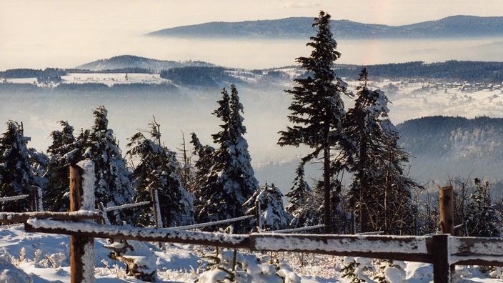 Blick über eine verschneite Landschaft mit Nadelbäumen. Im Hintergrund Berge, im Vordergrund ein Holzzaun.