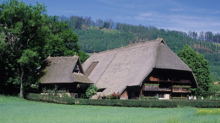 Ein typischer Hof im Schwarzwald