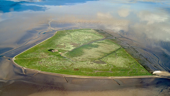 Hallig Südfall aus der Luft. | Bildquelle: WDR/MEV Hallig Südfall aus der Luft.