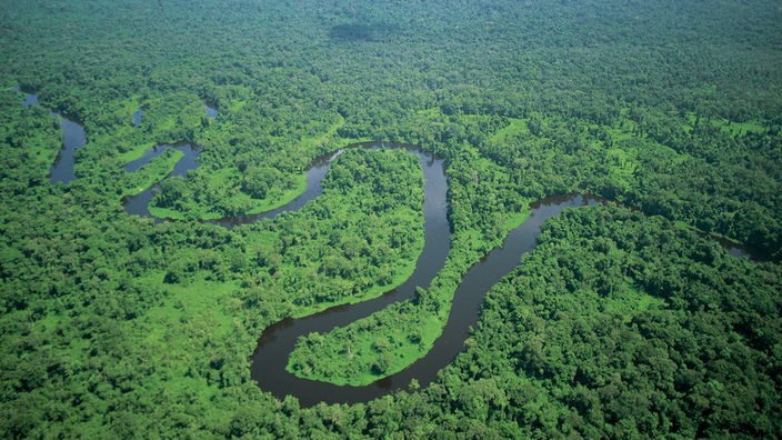 Luftbild des Amazonas