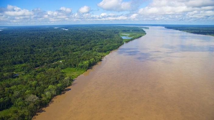Blick über den Amazonas in Brasilien