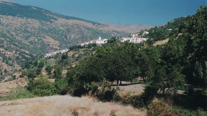 Blick über Obstbäume auf ein weißes Dorf, das an einem Berghang liegt.