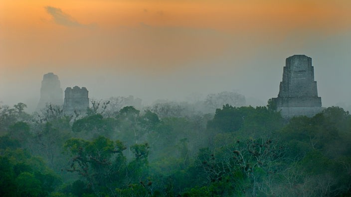 Maya-Tempel von Tikal im Sonnenaufgang