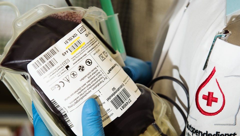 Mitarbeiterin des Blutspendedienstes hält einen Beutel mit Spenderblut