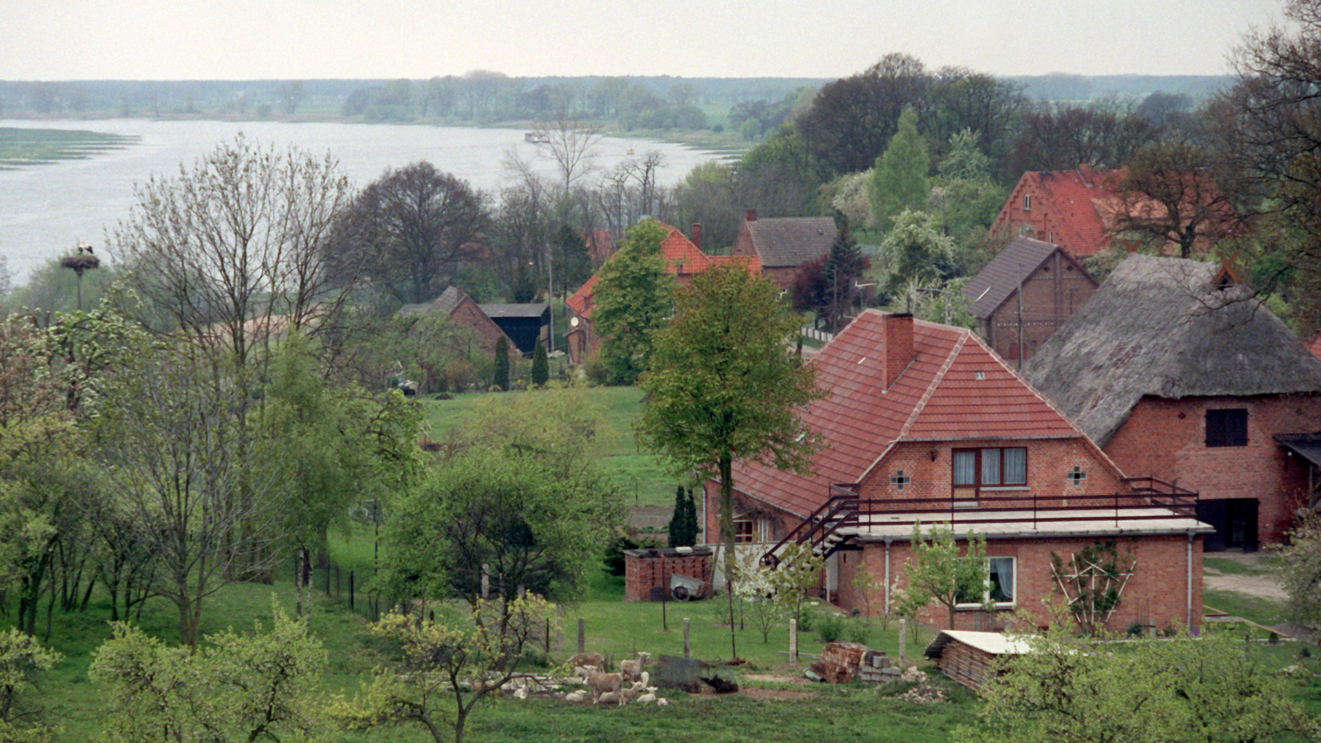 Eine Handvoll Häuser in unmittelbarer Nähe zur Elbe bilden das Dorf Rüterberg. Sie fügen sich harmonisch ein in eine grüne Flusslandschaft. | Bildquelle: dpa Eine Handvoll Häuser in unmittelbarer Nähe zur Elbe bilden das Dorf Rüterberg. Sie fügen sich harmonisch ein in eine grüne Flusslandschaft.