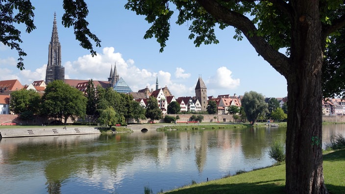 Blick über die Donau auf das Ulmer Münster.