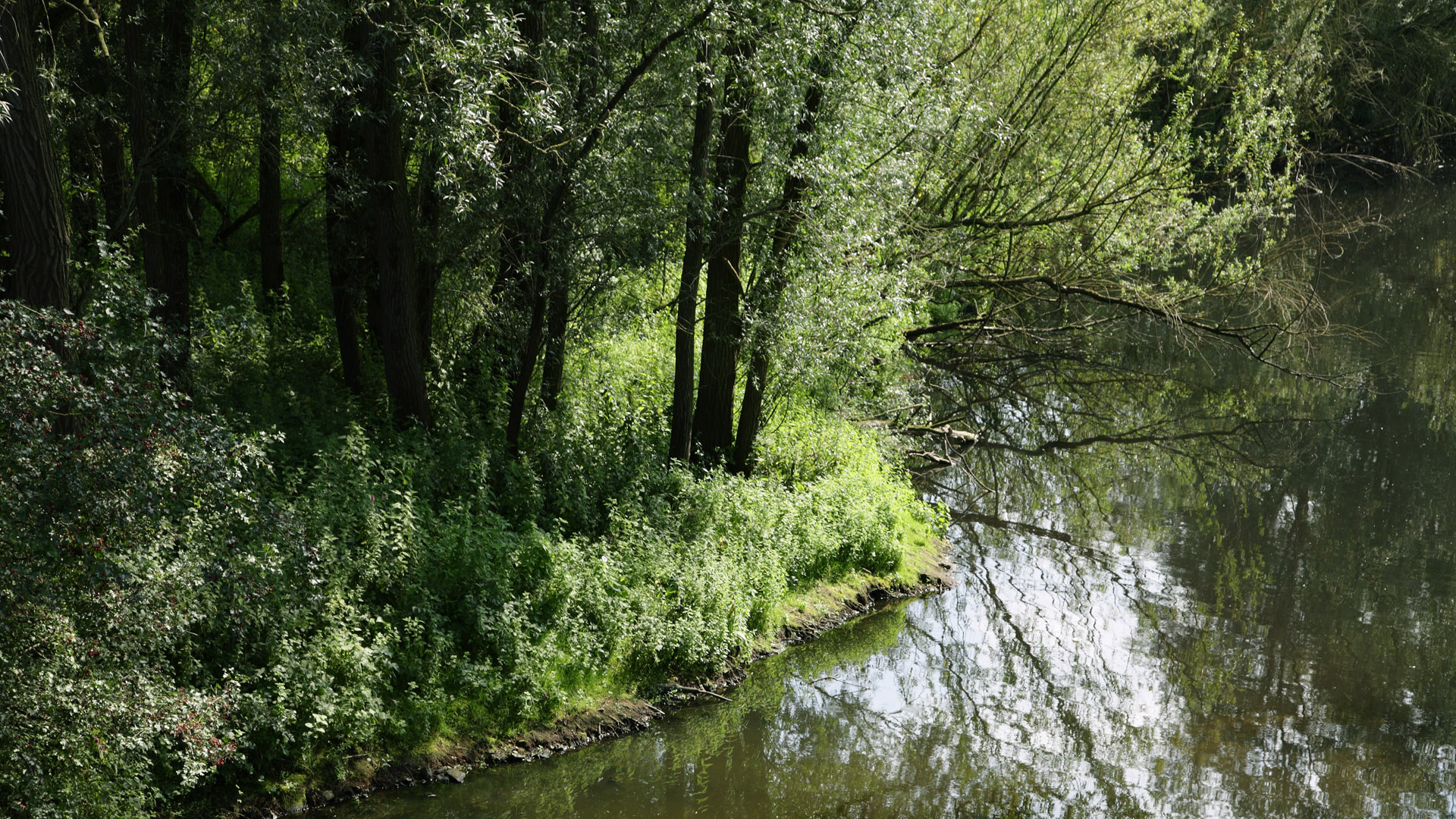 Naturschutzgebiet Bienener Altrhein