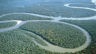 Luftaufnahme des Amazonas mit Regenwald in Peru.