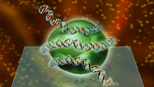 Zeichnung eines Histonkomplexes, um das sich eine DNS-Doppelhelix windet.