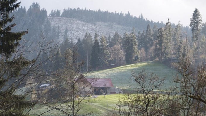 Dünne Schneedecke an den Hängen bei Baiersbronn-Röt 