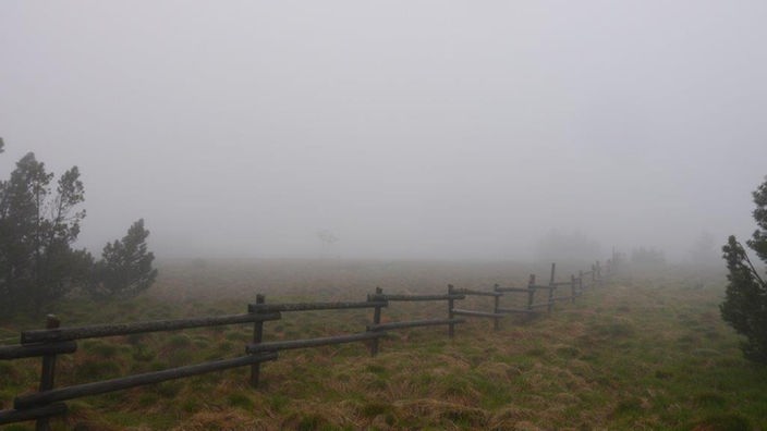 Landschaft im Nebel: Eine Wiese mit viel braunem alten Gras durch die ein alter Holzzaun führt.