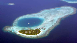 Blick auf eine Insel der Malediven. Ein kleiner, grüner Fleck ist von Korallenriffen und einer Lagune umsäumt.