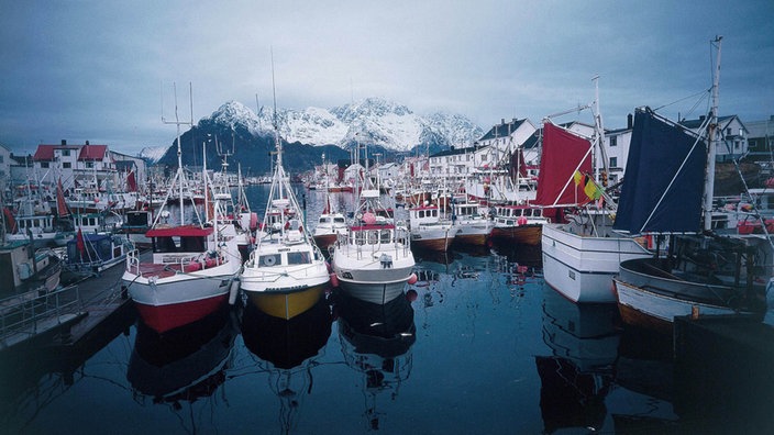 Schiffe in einem Hafen auf den Lofoten. | Bildquelle: ddp/NSA/Norwegische Schifffahrtsagen Schiffe in einem Hafen auf den Lofoten.