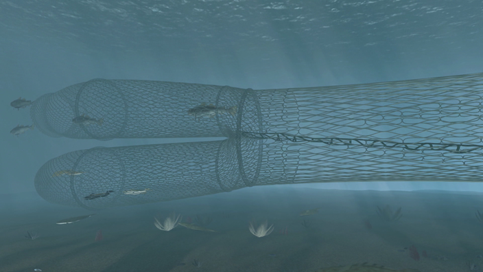 Grafik: Zweigeteiltes Fischnetz im Wasser.