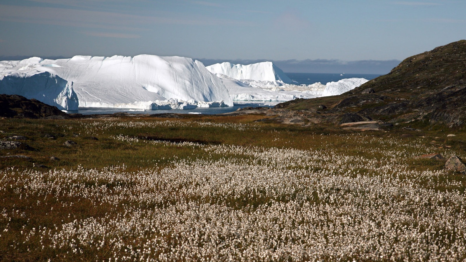 Polarregionen Arktis Polarregionen Natur Wissen