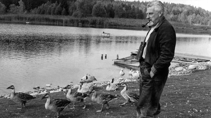 Professor Dr. Konrad Lorenz mit seinen Graugänsen am Ess-See bei Starnberg in Oberbayern