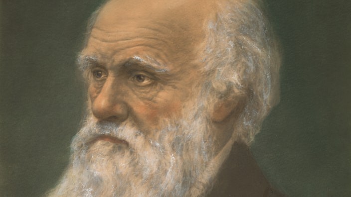 Portrait: Charles Darwin