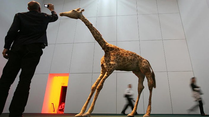  Ausgestopfte Giraffe auf der documenta 12 in Kassel 
