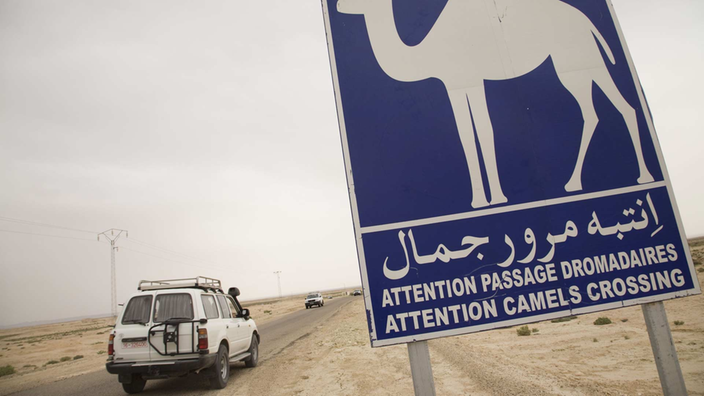 Autos fahren auf einer Straße durch eine Wüstenlandschaft. Am Straßenrand steht ein Schild, das vor über die Straße laufenden Kamelen warnt.