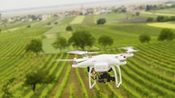 Eine Drohne fliegt über einen Weinberg 