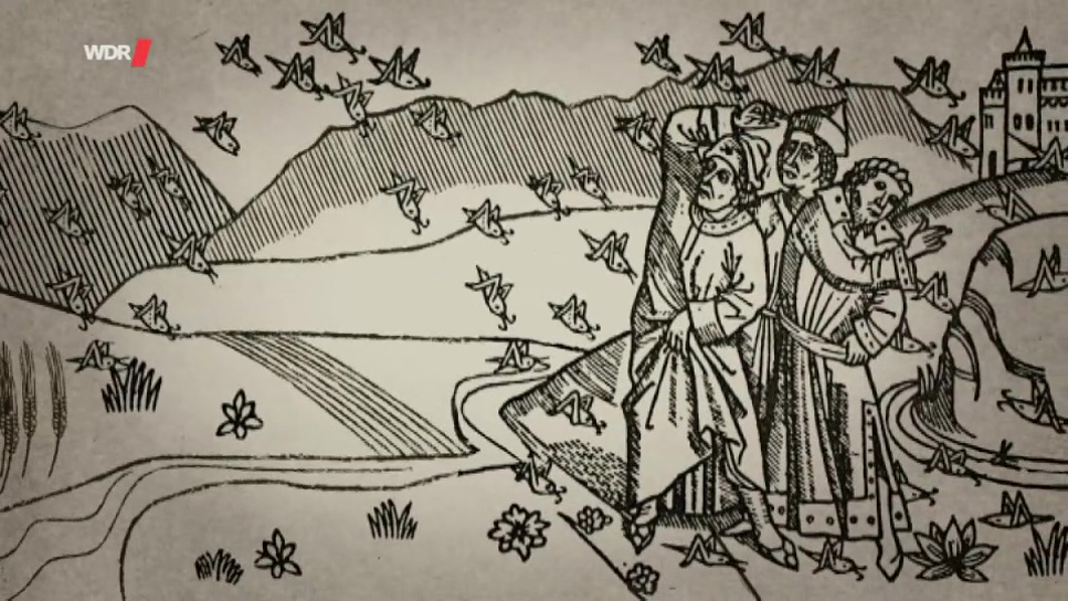 Historische Zeichnung: drei Menschen auf einem Feld versuchen sich vor heranfliegenden Heuschrecken zu schützen