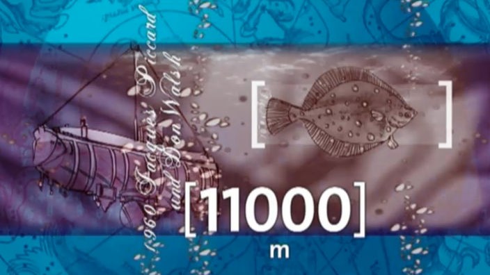 Animation von einem Plattfisch.