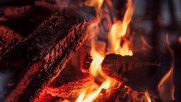 Brennende Holzscheite im Kamin mit viel Glut.