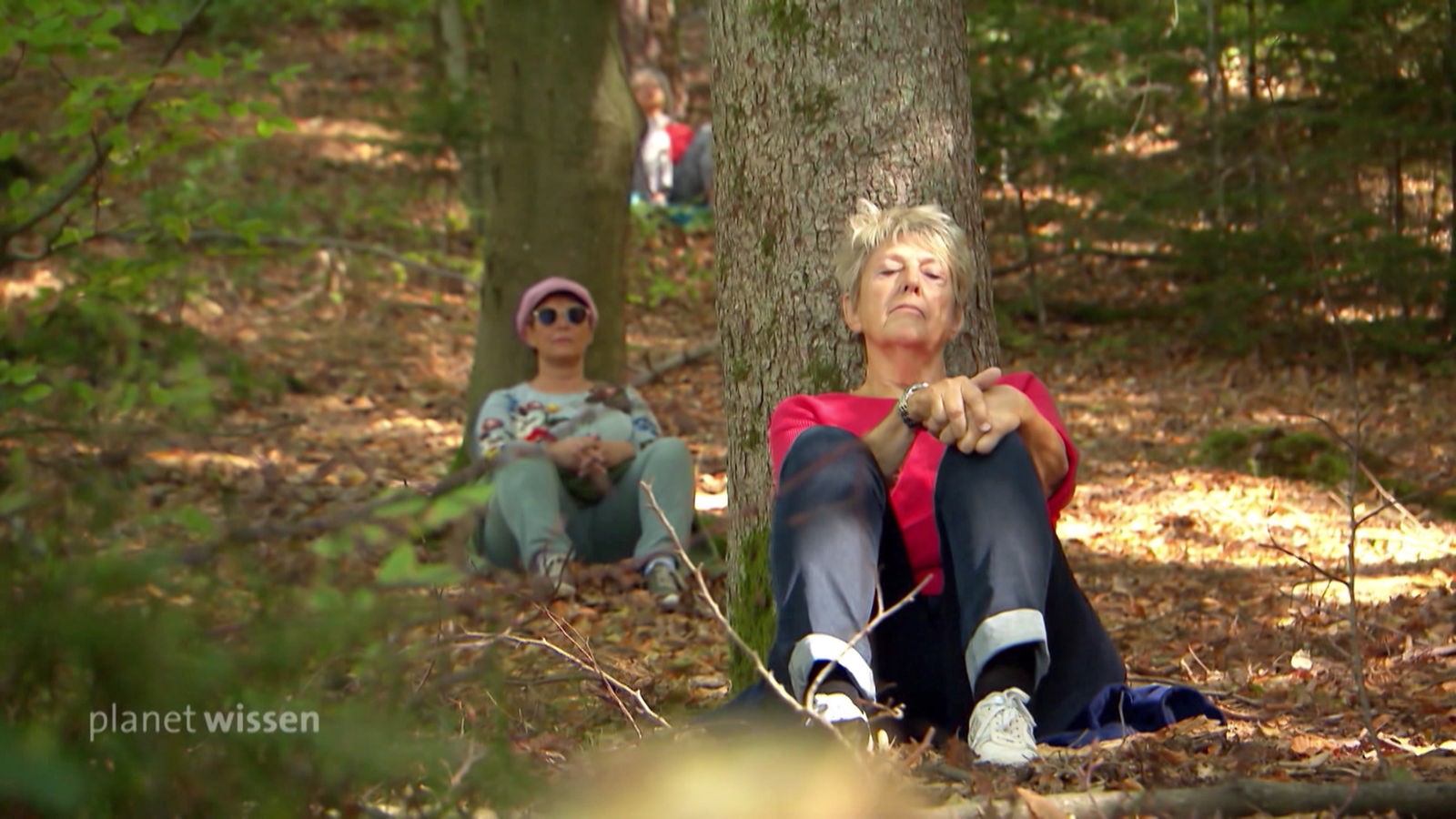 Zwei Frauen lehnen sich sitzend jeweils an einen Baumstamm.