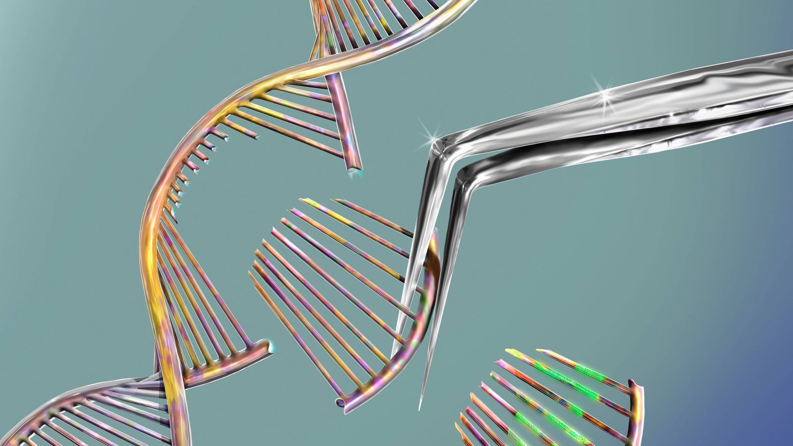 getrennte DNA Spirale .