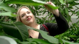 Eine junge Frau betrachtet das große Blatt einer Pflanze in einer Gärtnerei.