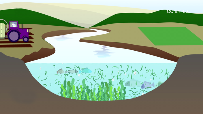 Screenshot aus dem Terra-X-Beitrag "Bedrohtes Ökosystem Fluss"