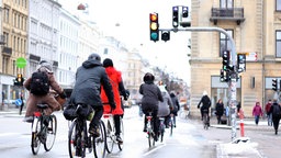 Viele Radler von hinten an einer Ampel | Bildquelle: dpa/picture alliance/Julia Wäschenbach Viele Radler von hinten an einer Ampel