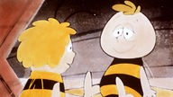 Die Zeichentrickfiguren Biene Maja und ihr bester Freund Willi stehen sich gegenüber. 