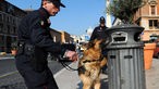 Hund sucht an einem Mülleimer in Rom nach Bomben.